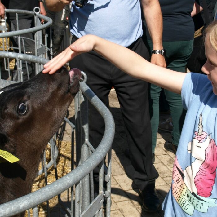 La ferme