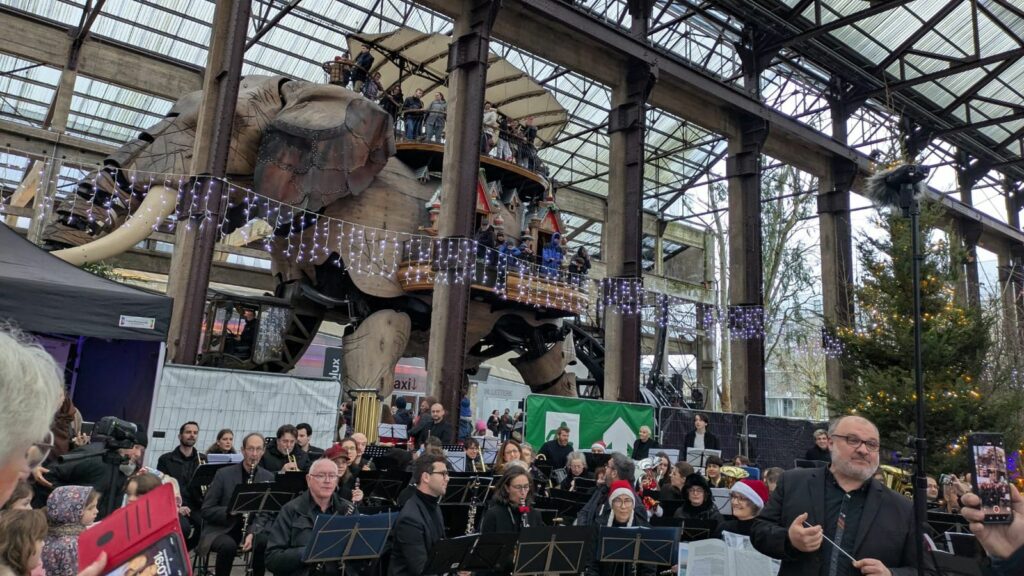 Eric attendant le passage de l'éléphant